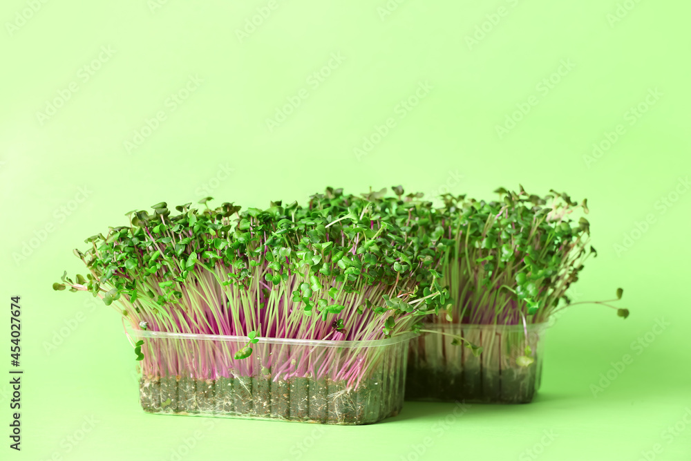 Plastic containers with fresh micro green on color background