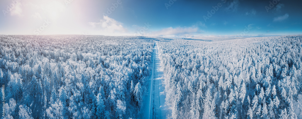 Fir trees covered in snow