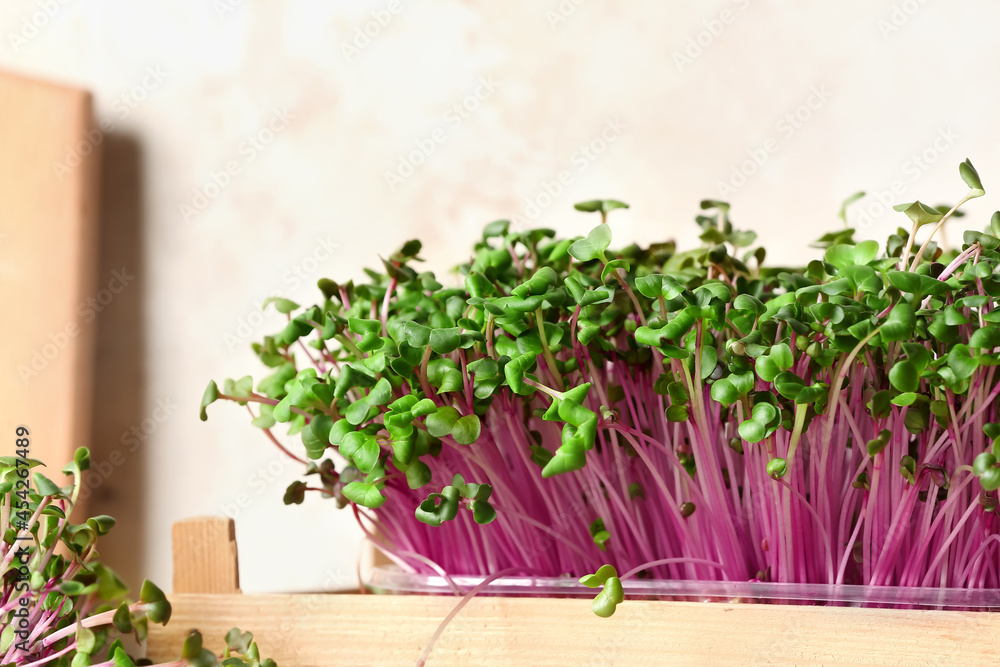 Wooden box with fresh micro green on light background, closeup