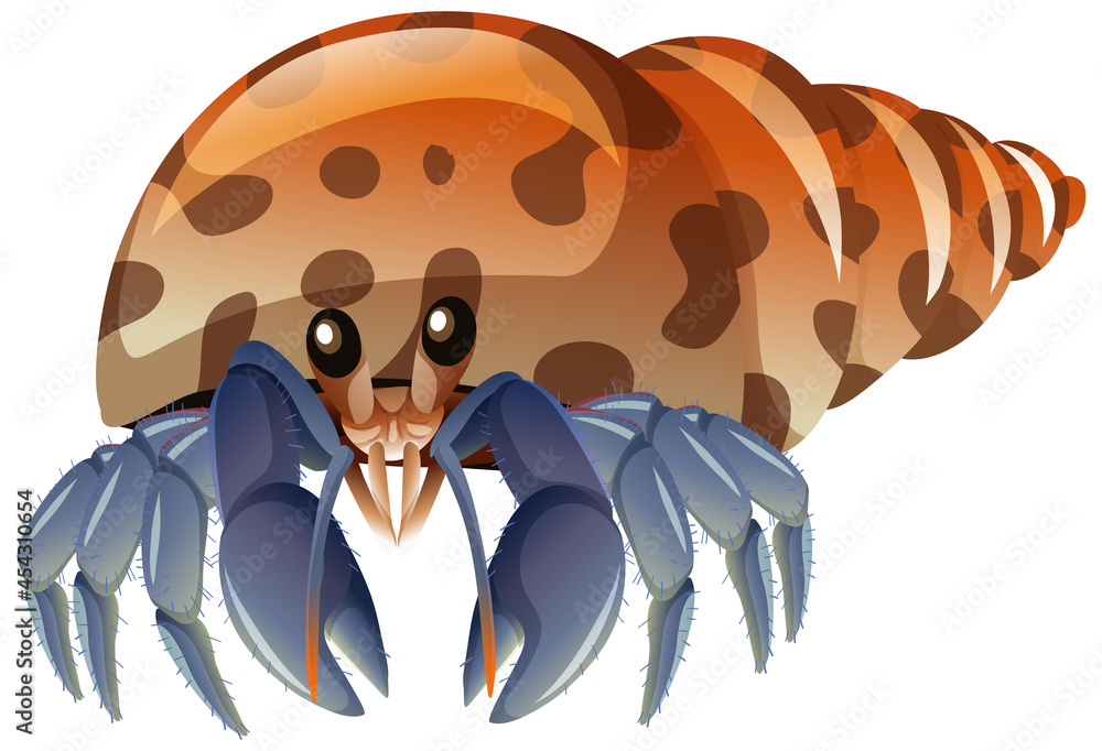 Hermit Crab in cartoon style on white background