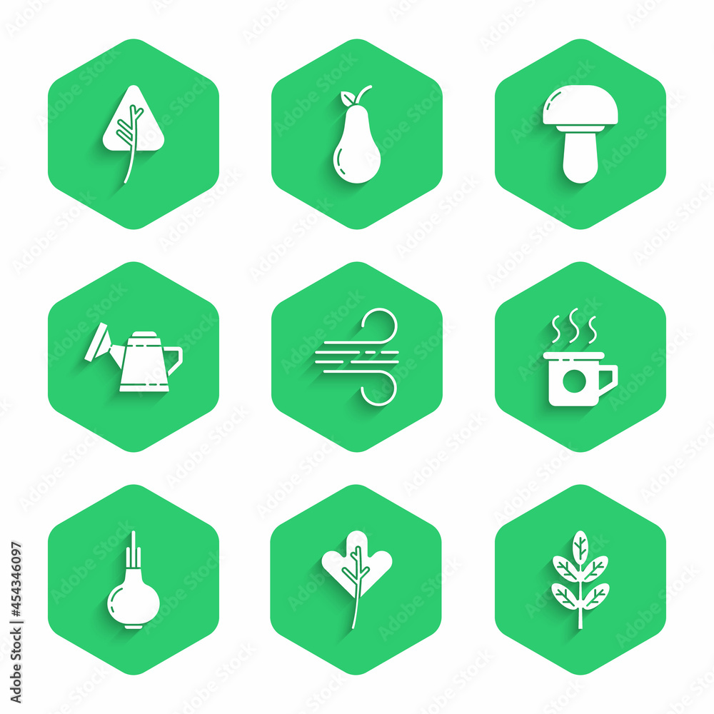 Set Wind, Leaf or leaves, Cup of tea, Onion, Watering can, Mushroom and icon. Vector