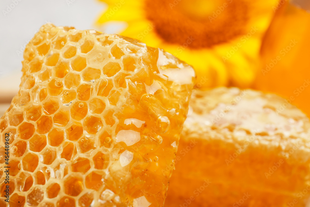 Sweet honey comb, closeup view