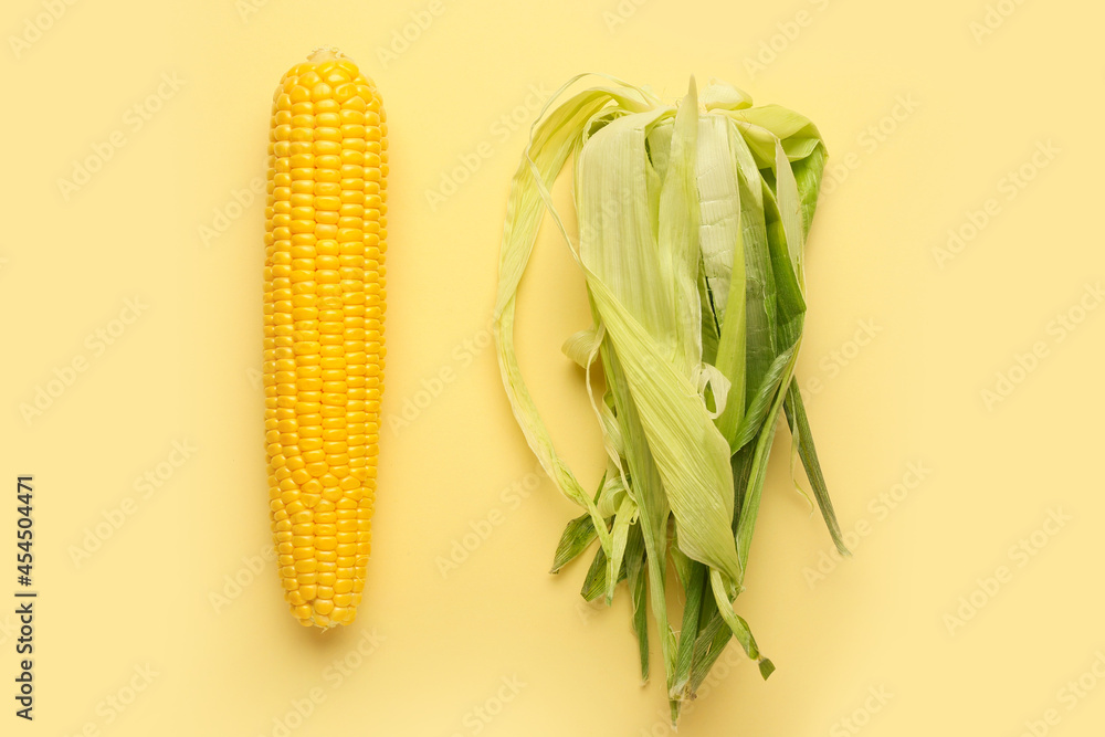 Fresh corn cob and leaves on color background