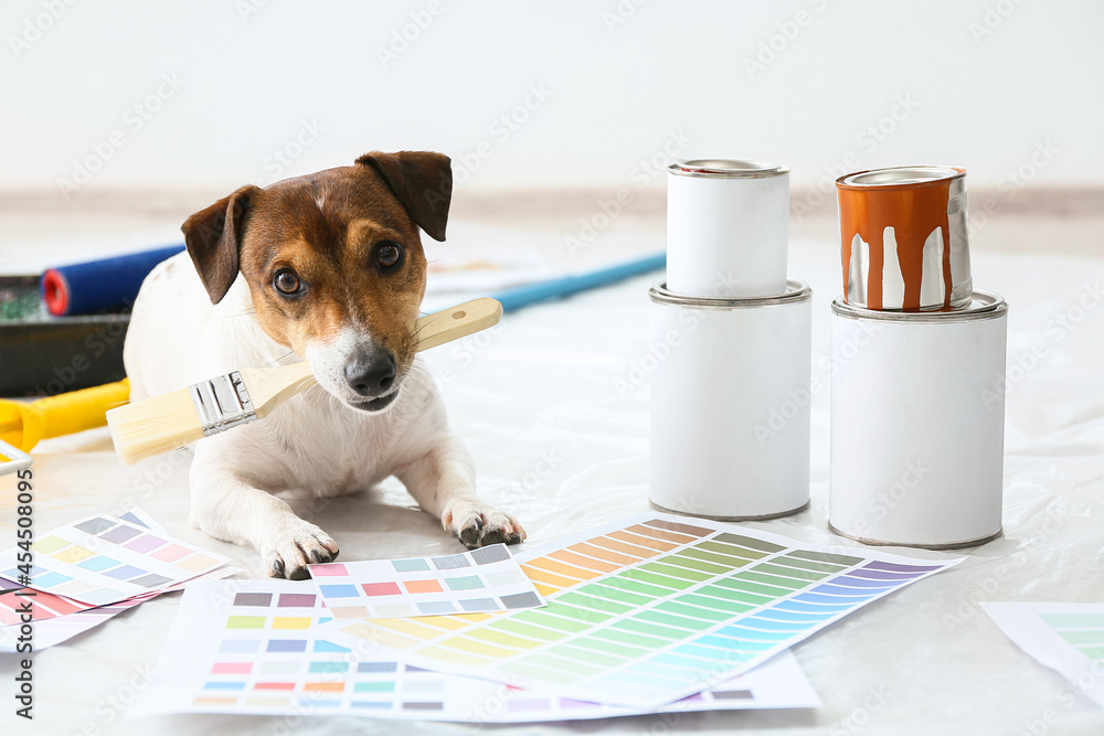 Cute dog with brush and paint color samples in room