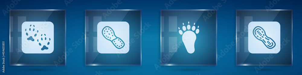 Set Fox paw footprint, Human footprints shoes, Bear and . Square glass panels. Vector