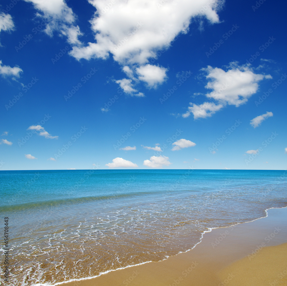 beach and sea