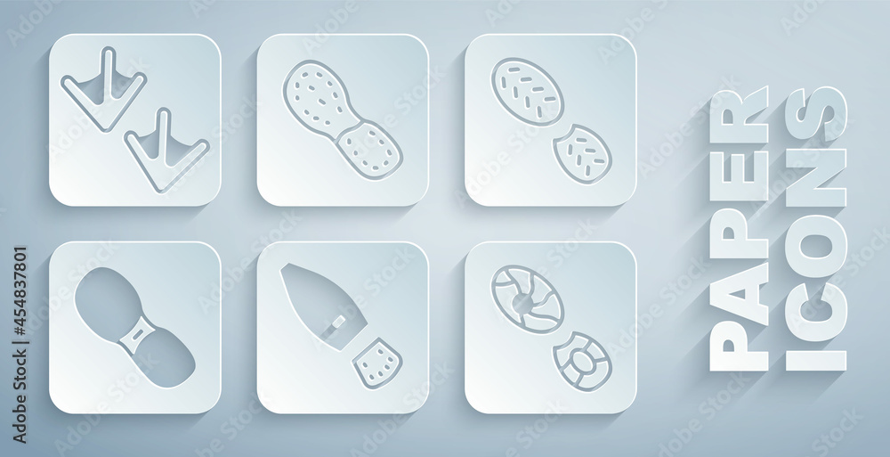 Set Human footprints shoes, and Goose paw icon. Vector