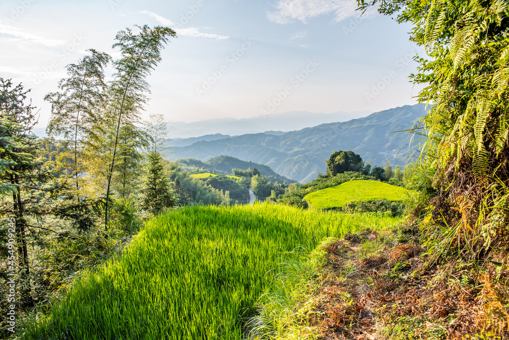 中国湖南省炎陵县高山梯田