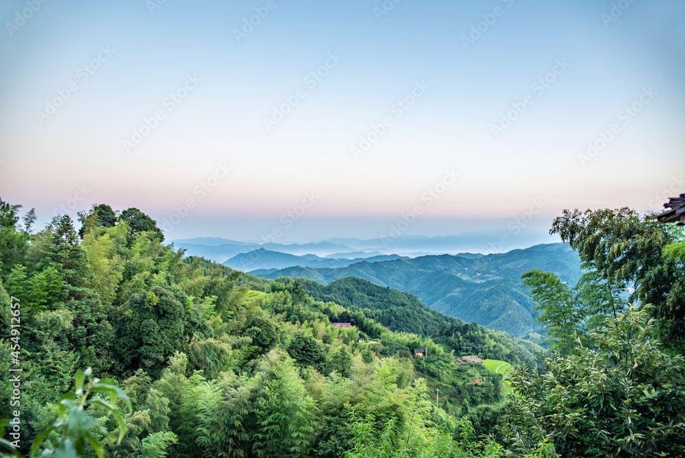 中国湖南省炎陵高山黄桃种植果林