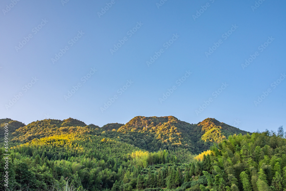 湖南省炎陵县山林风光