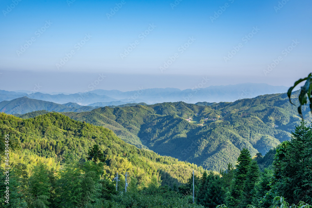 中国湖南省炎陵高山黄桃种植果林