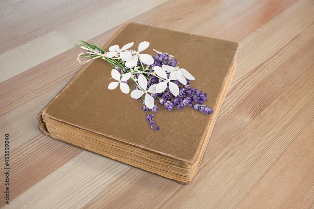 Dry flowers petals and vintage book, pastel background