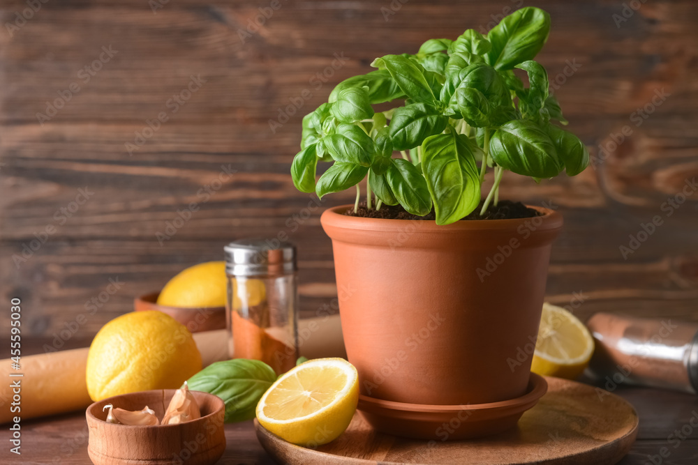 Fresh basil in pot, lemon and garlic on wooden background