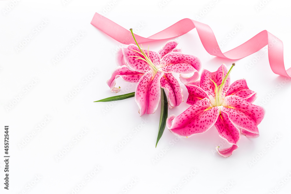 Pink lilies blossom flowers with purple ribbon