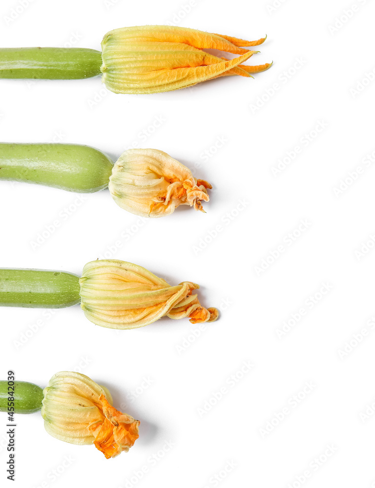 Fresh zucchini with flowers on white background, closeup