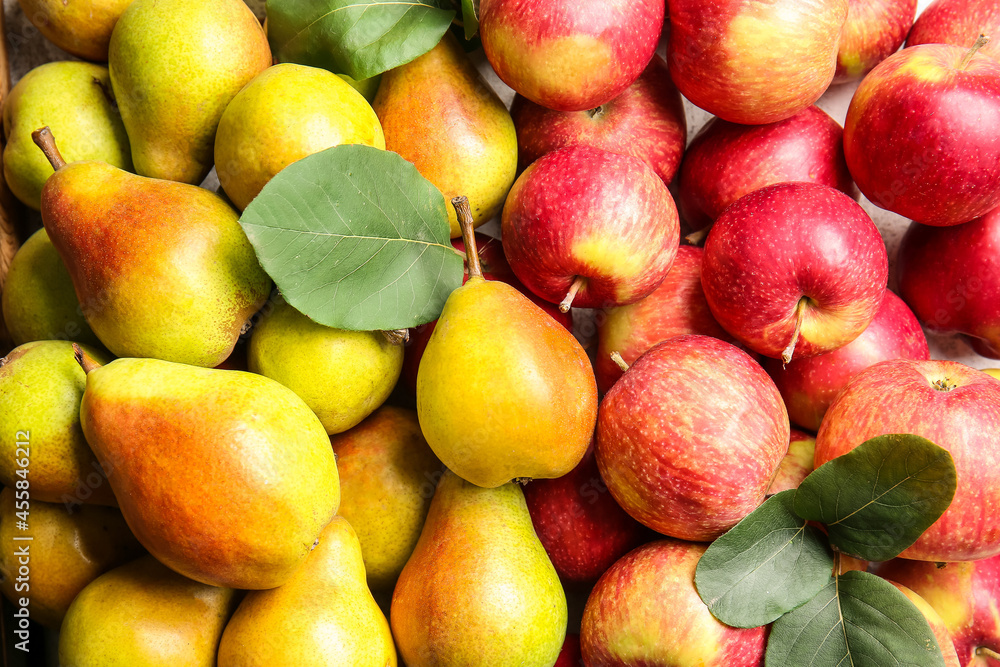 Ripe pears and apples as background