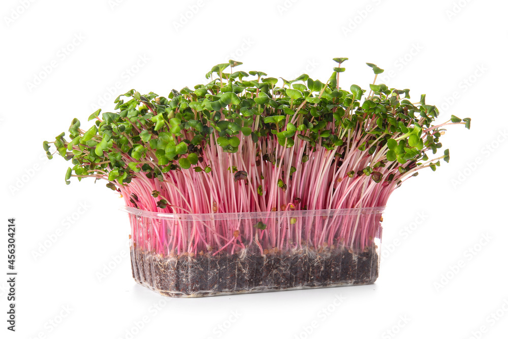 Plastic container with fresh micro green on white background