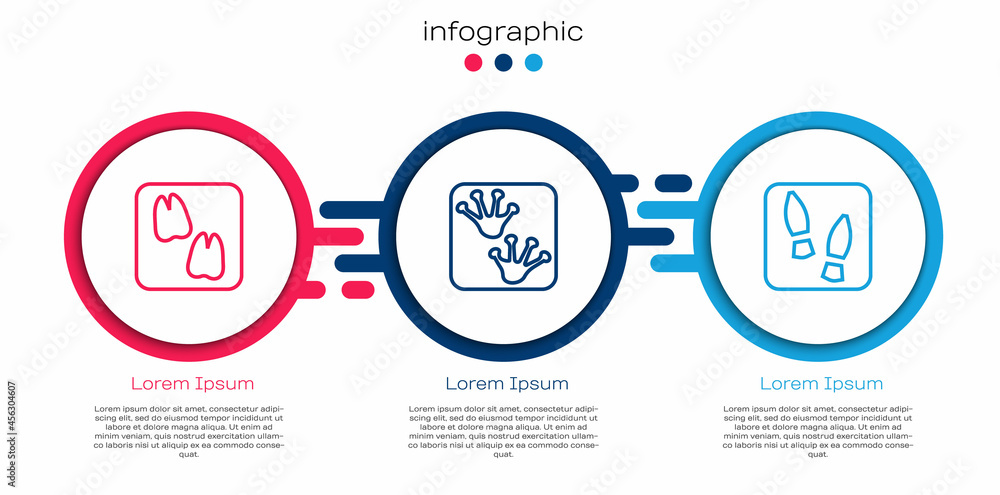 设定骆驼爪足迹，青蛙和人类足迹鞋。商业信息图模板。矢量