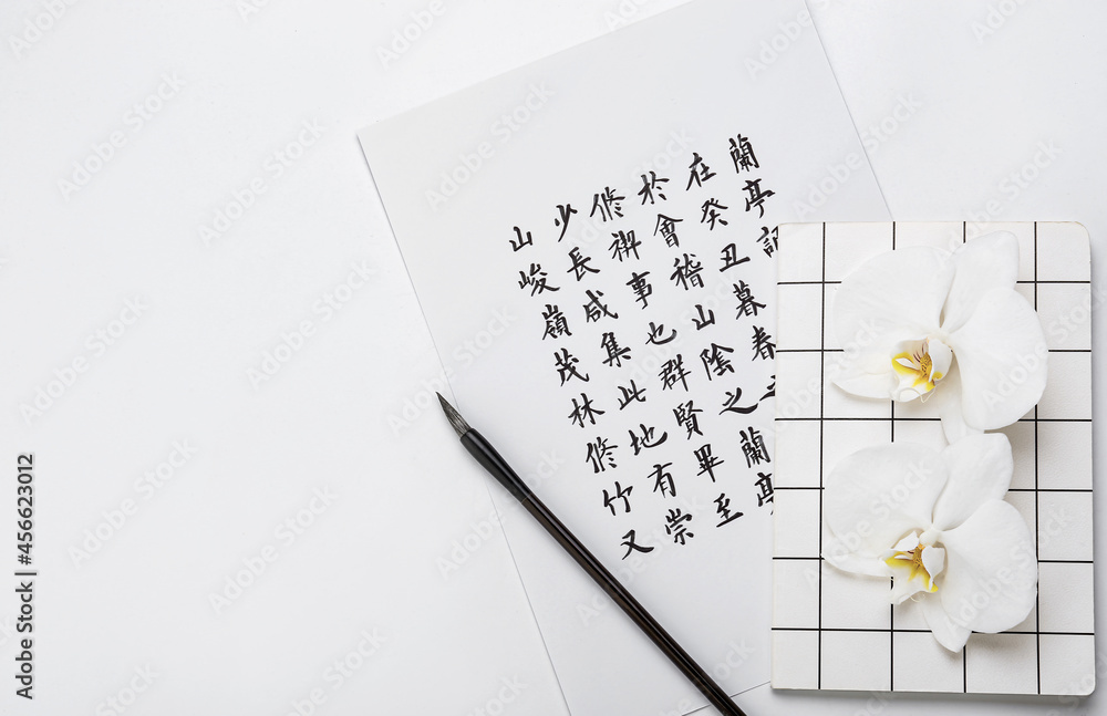 白色背景上有象形文字、画笔、笔记本和花朵的纸张