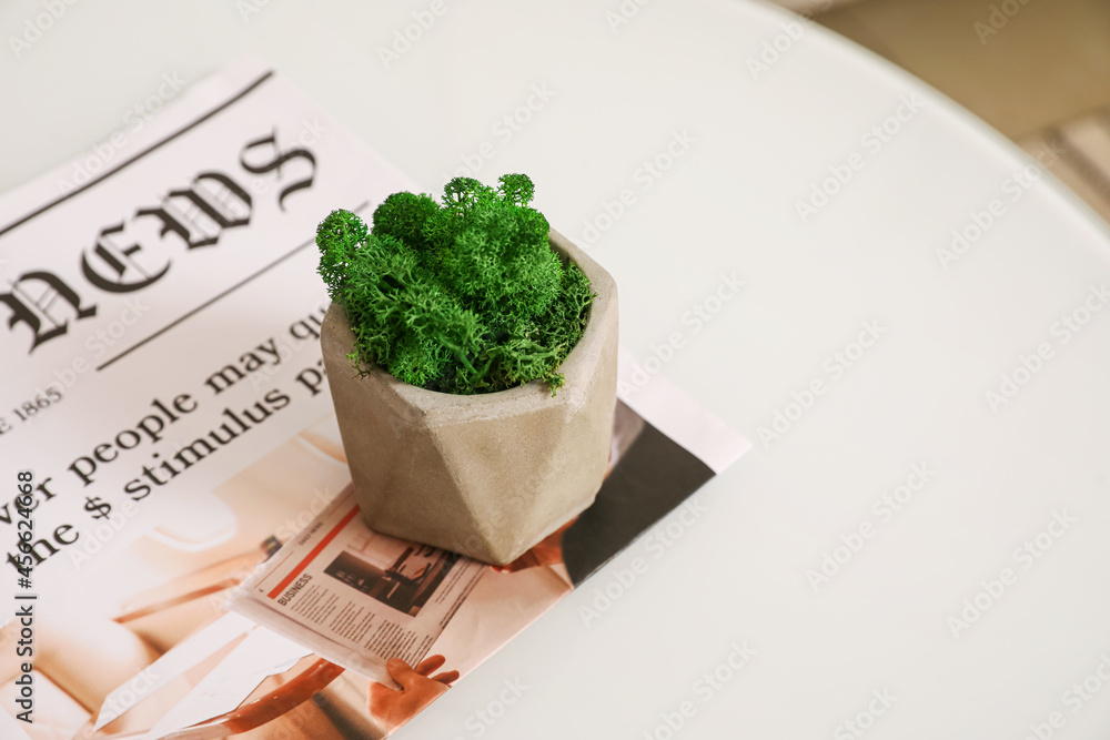 Pot with decorative green moss and newspaper on table in room