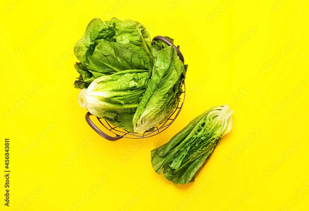 Basket with fresh romaine lettuce on color background