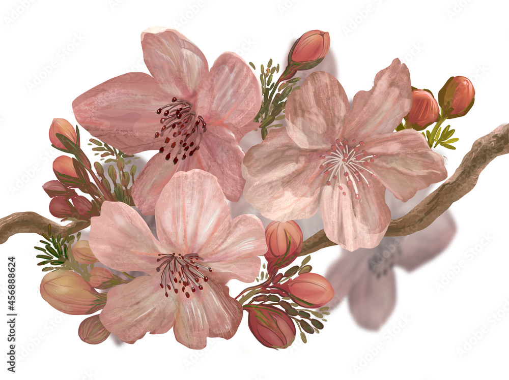 Hand-drawn blossoming Sakura on a branch