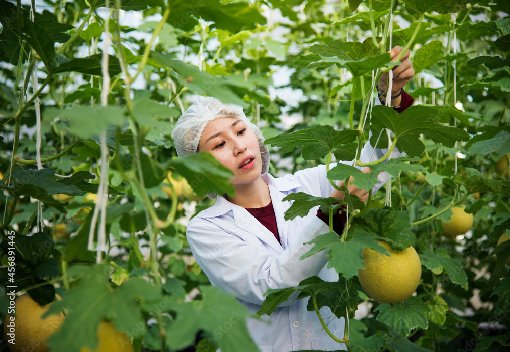 研究植物和水果的亚洲科学家