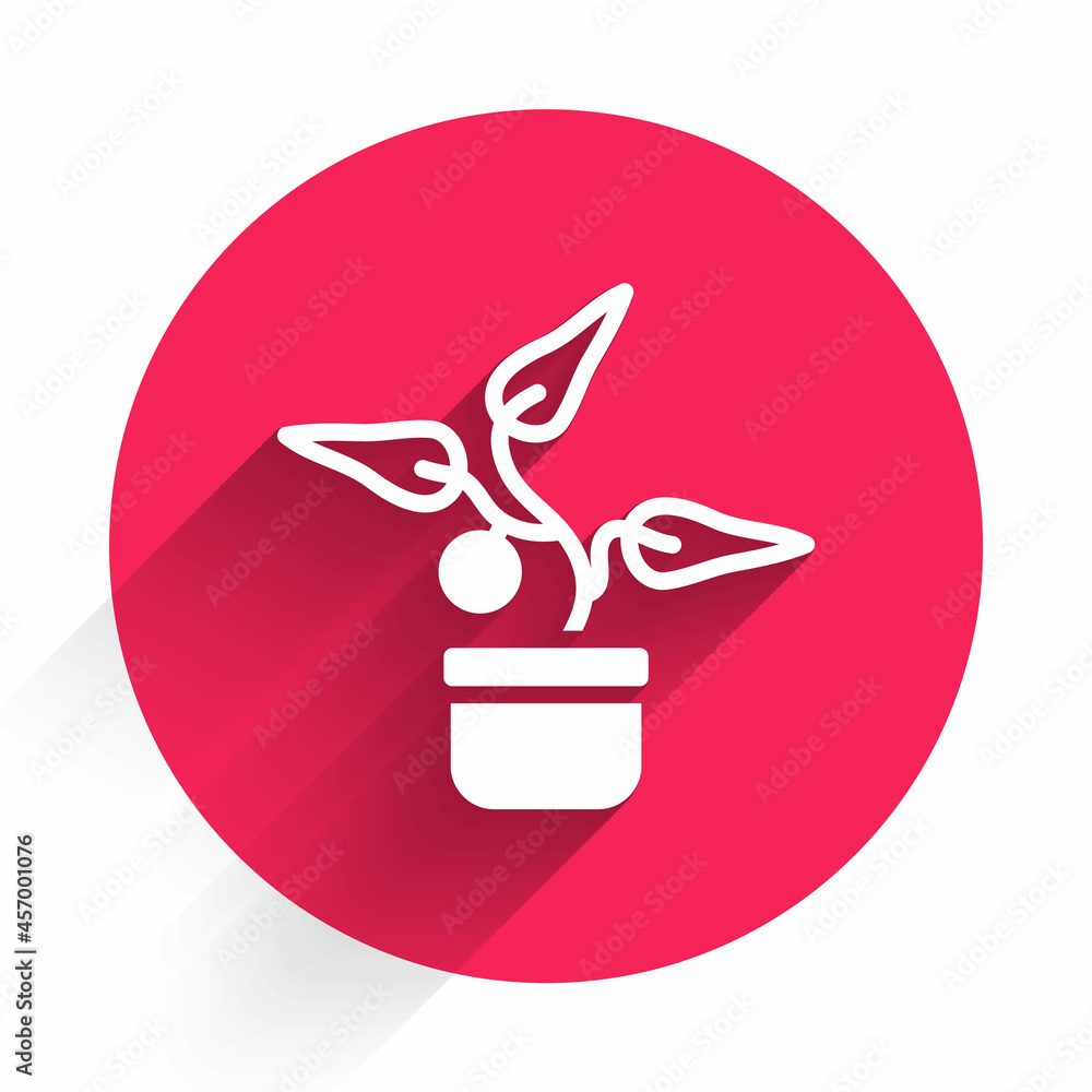 White Plant in pot icon isolated with long shadow. Plant growing in a pot. Potted plant sign. Red ci