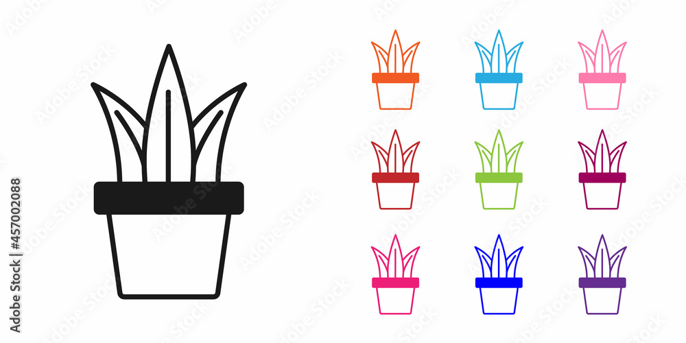 Black Plant in pot icon isolated on white background. Plant growing in a pot. Potted plant sign. Set