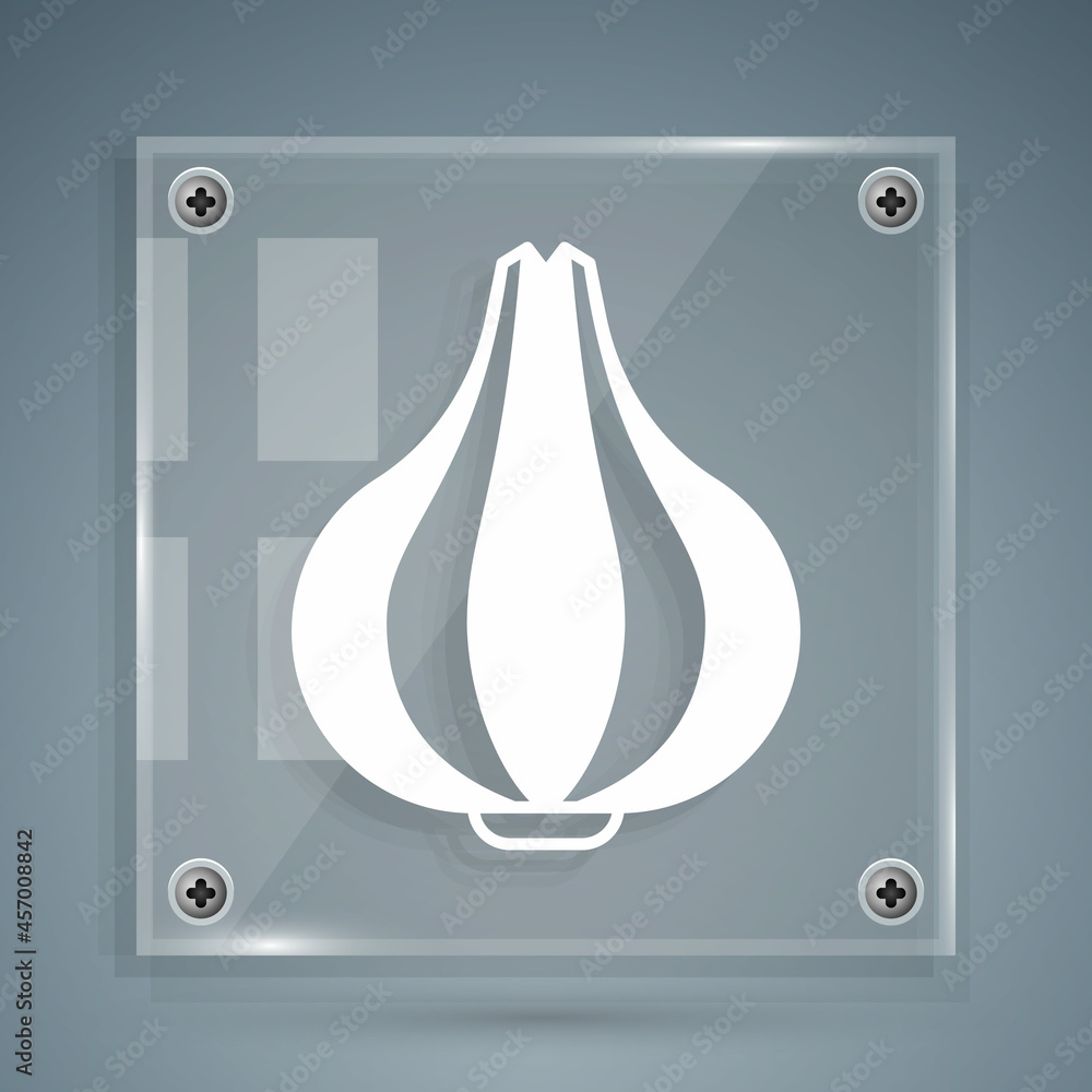 White Garlic icon isolated on grey background. Square glass panels. Vector