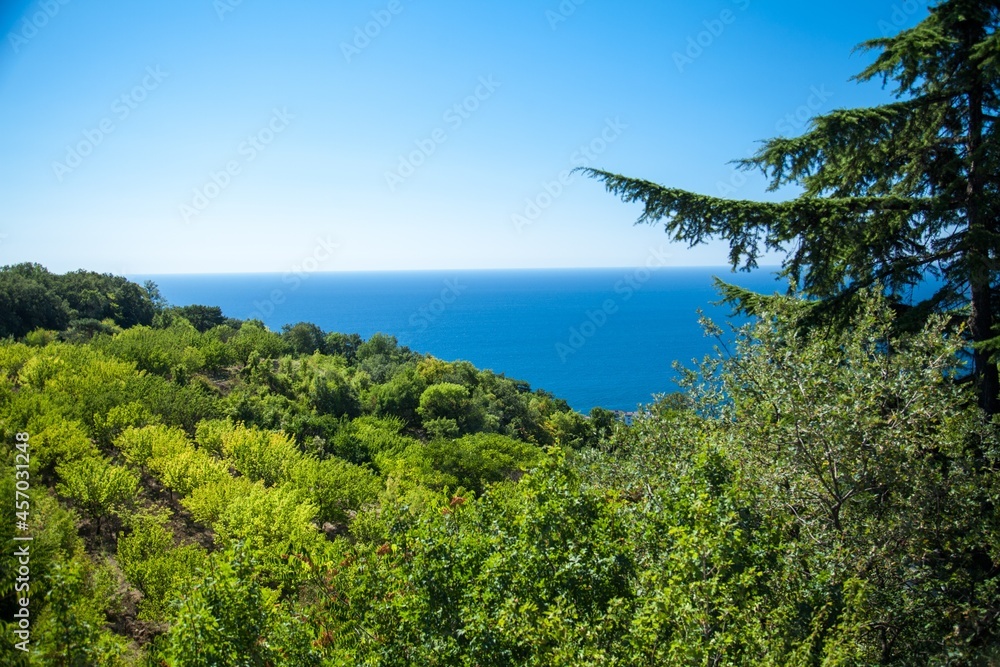 绿树成林，风景秀丽