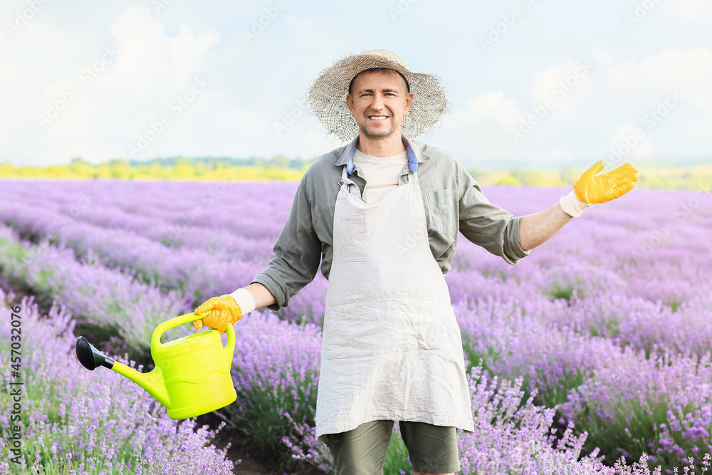 薰衣草地里有喷壶的农民