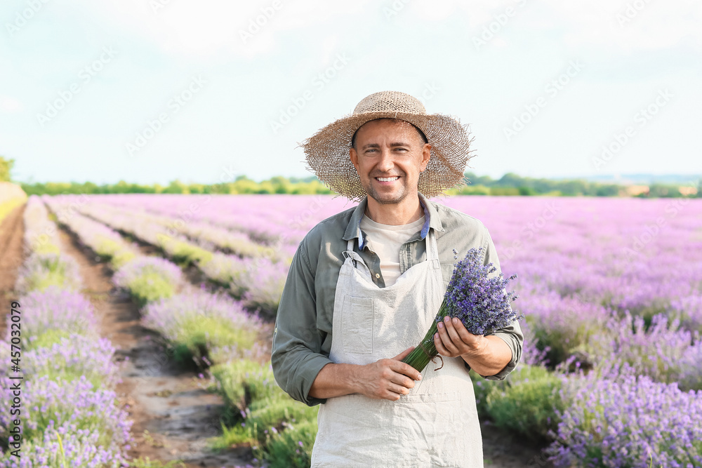 薰衣草地里有美丽花束的农夫