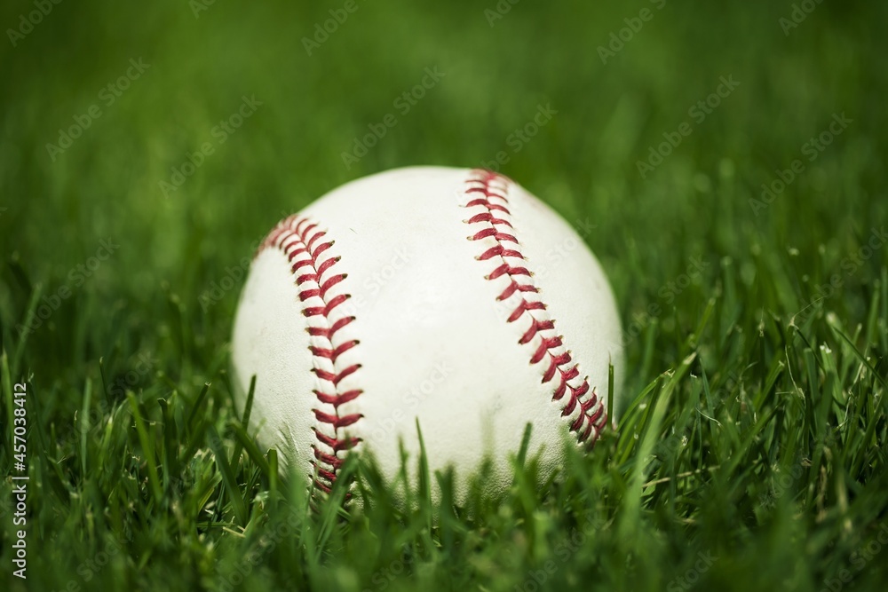 Classic white Baseball ball in the grass