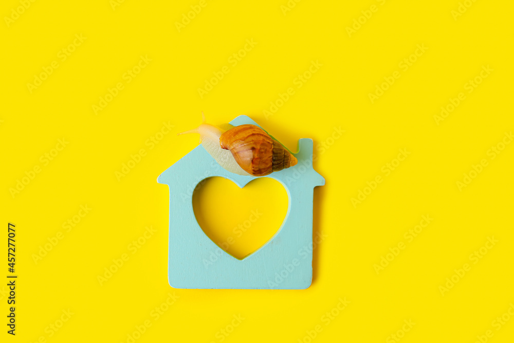 Snail and figure of house on color background