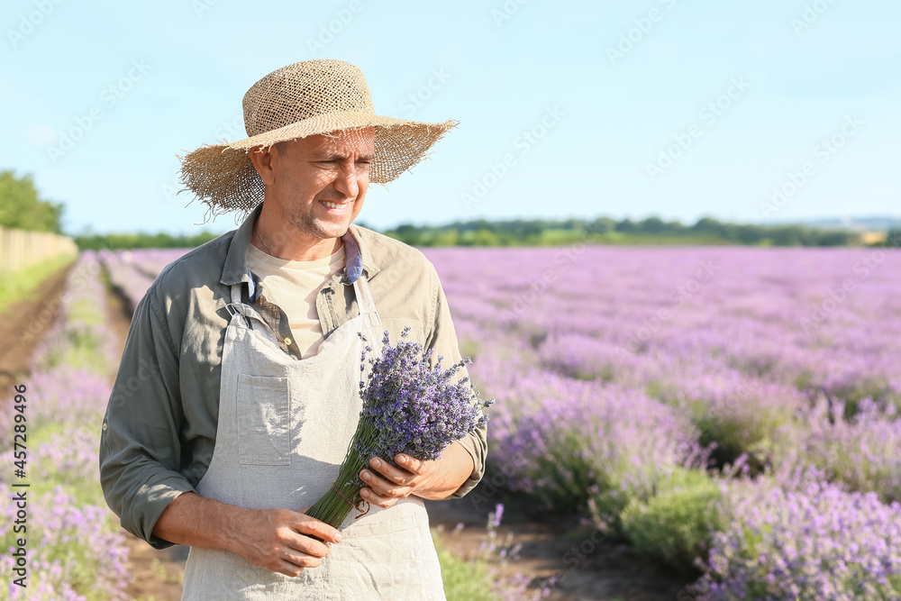 薰衣草地里有美丽花束的农民