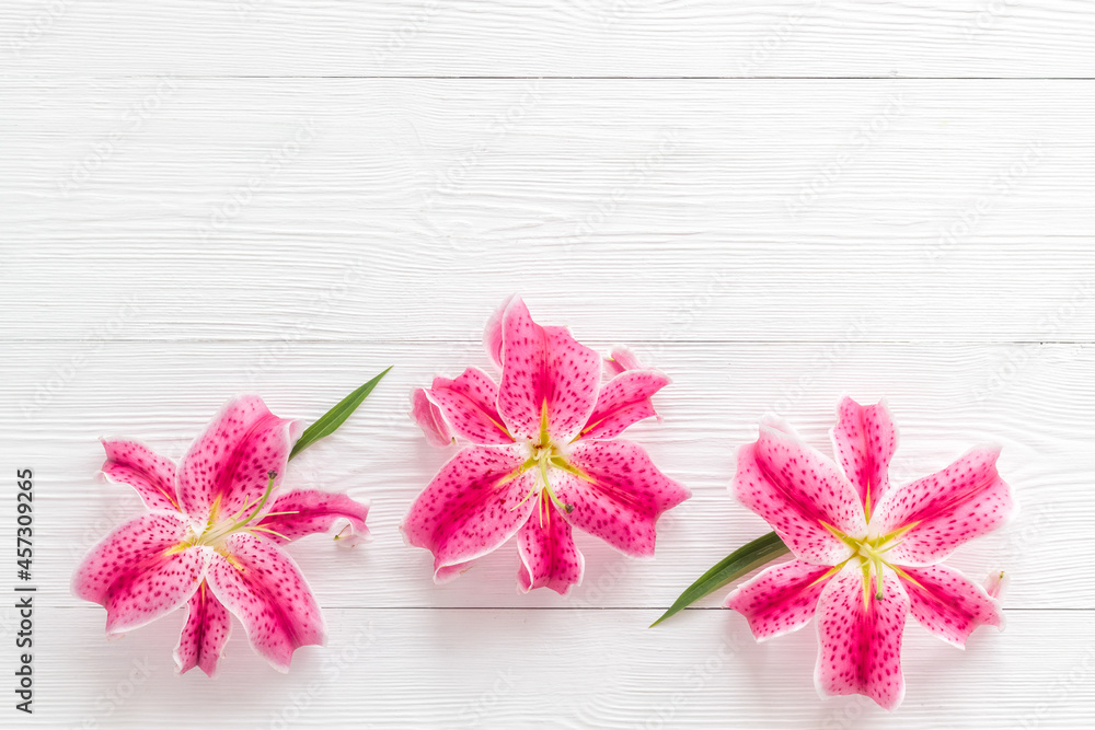 Top view of pink lilies flowers, floral pattern background