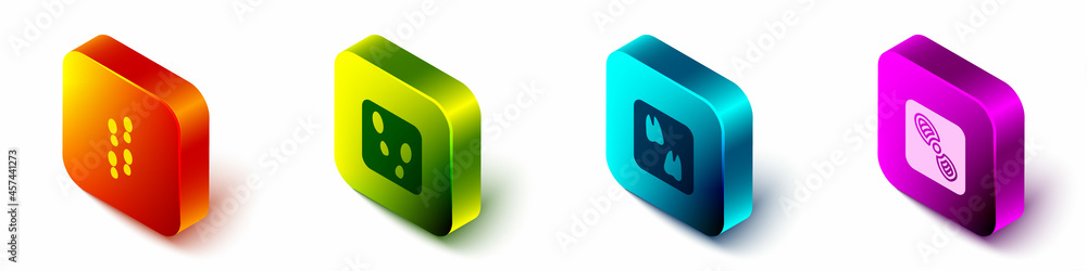 Set Isometric Human footprints shoes, , Camel paw and icon. Vector