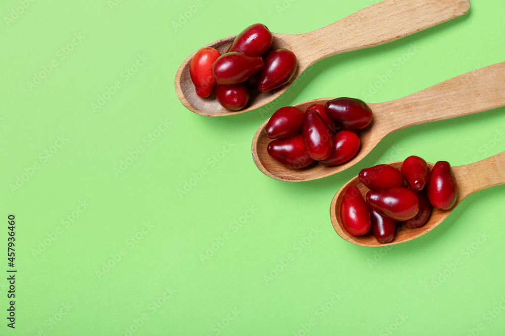 Spoons with ripe dogwood berries on color background