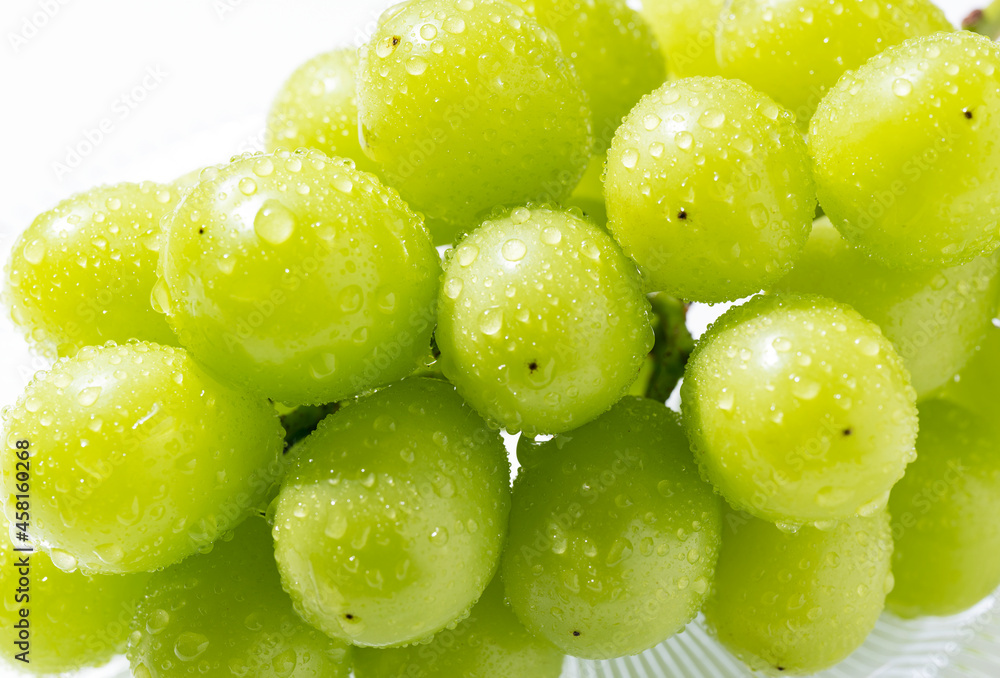 Shine-Muscat grapes with water droplets on a glass plate set against a white background.