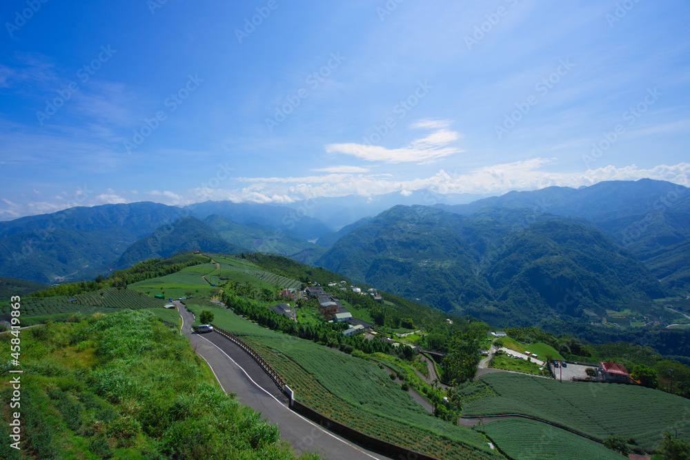 山顶上的茶园经常被云雾笼罩。梅沙碧湖山茶园