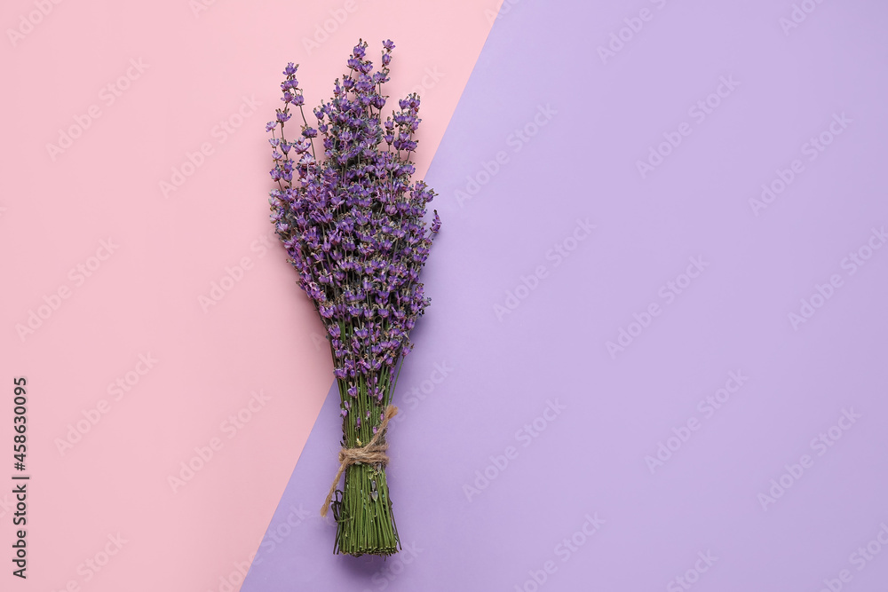 Bouquet of lavender flowers on color background