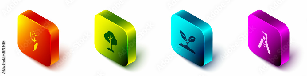 Set Isometric Flower tulip, Forest, Sprout and Gardening handmade scissors icon. Vector