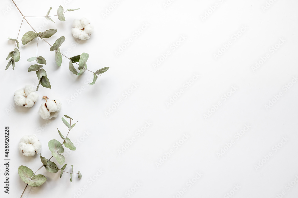 Layout floral pattern with eucalyptus branches and cotton flowers