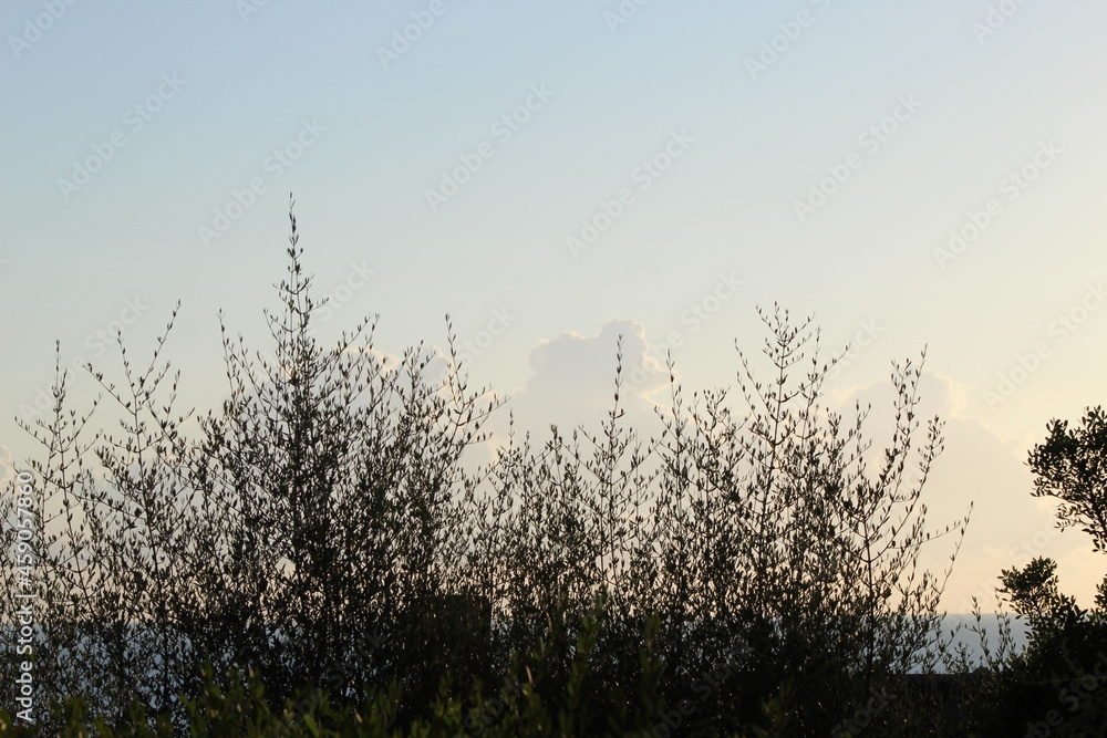 levé de soleil en Corse et couché de soleil