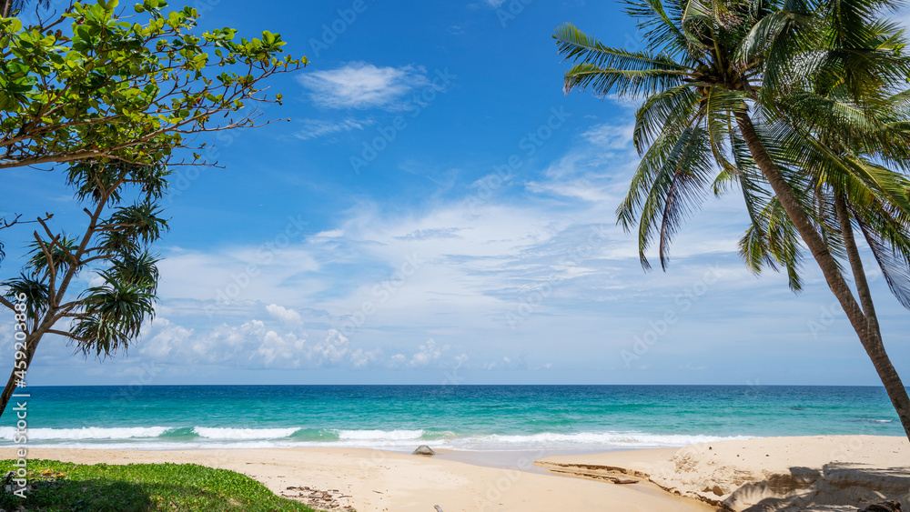 Palm and tropical beach beautiful summer background