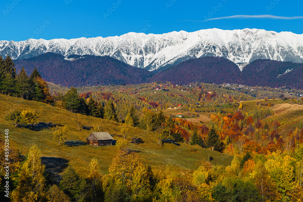 罗马尼亚喀尔巴阡山，背景是美丽的雪山，秋天的风景