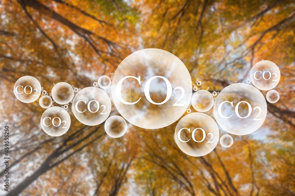 Tree canopy against a sky background with oxygen O2 and carbon dioxide CO2 molecules, release concep