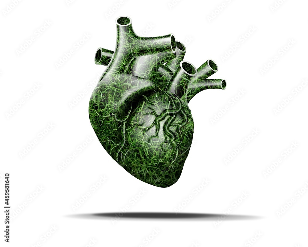 Conceptual image of green grass shaped like human heart. Healthy heart.