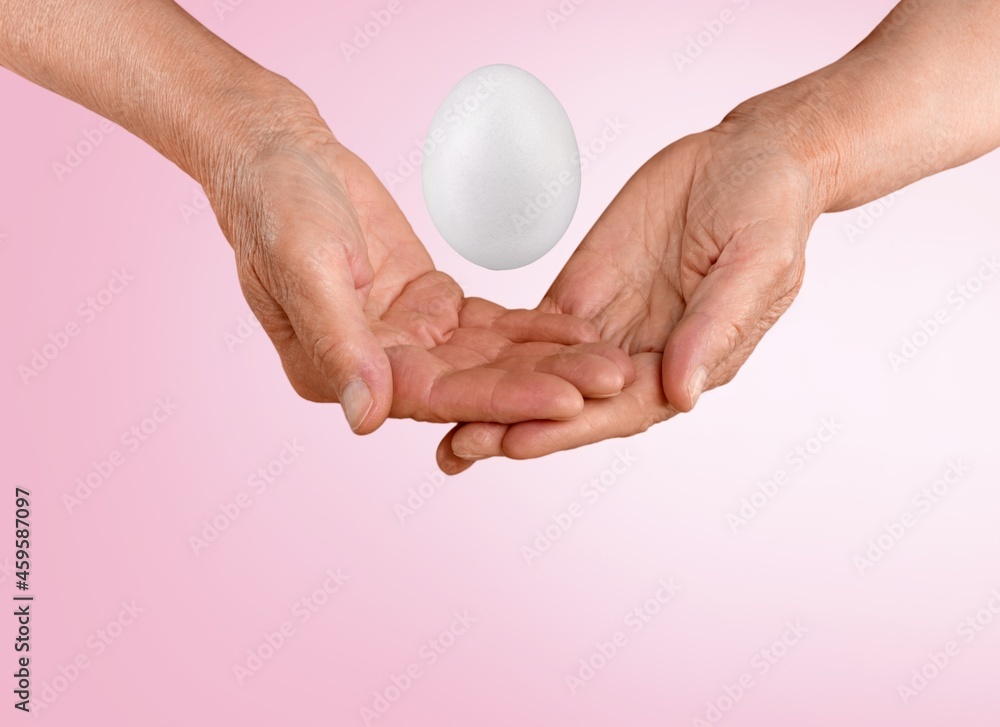 Two hands touching the flying white egg on the background. Creation of new life.